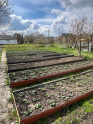 🏰 ��� ������ �� ������� ������ � ������ ����Ҳ! ✨ ���� 15