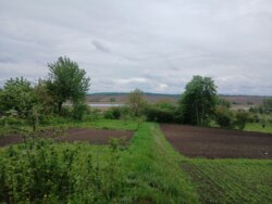 ������������� ������� � ������, ������ 10 �� �� ������������� �� ������������ ����! ���� 3