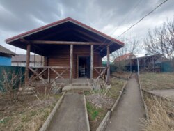 ������ ���� �� ������ �� ������� ��� ���� 38