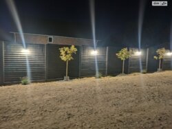 2-    10    ! 🌿  8