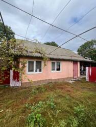 �������� ������� � �. ������ � ������ 6 �� �� �������������! 🌿 ���� 6