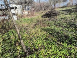 ���� � ����� ����: ����� �������� (������) ���� 19