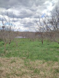 ��������� ������� ʳ�����, 17, ����������, �������������, ����������� ���� 40