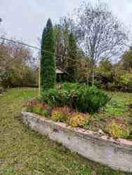 �������� ������� ������� �������������! 🌳 ���� 4