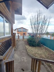 ������ ���� �� ������ �� ������� ��� ���� 33