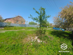 ������� � 20 �� �� ����! 🌲✨ ���� 11