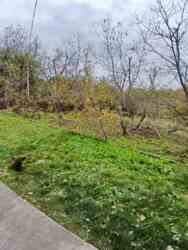 �������� ������� ������� �������������! 🌳 ���� 8