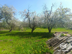 ������� � 20 �� �� ����! 🌲✨ ���� 5