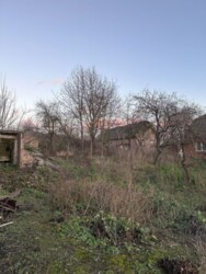 🌳 ���� �������� ���������� �� 25 ������: ������, ������� �� �����������! ���� 6