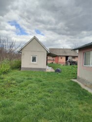 ��������� ������� ʳ�����, 17, ����������, �������������, ����������� ���� 32