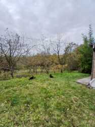 �������� ������� ������� �������������! 🌳 ���� 5