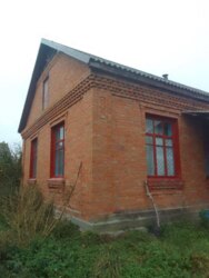 🌳 �������� ������� ���� 3