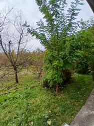 �������� ������� ������� �������������! 🌳 ���� 7