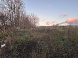 🌳 ���� �������� ���������� �� 25 ������: ������, ������� �� �����������! ���� 4