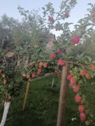 🏰 ��� ������ �� ������� ������ � ������ ����Ҳ! ✨ ���� 21