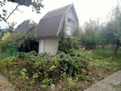 ✨ ���������������� ������� ������� �� �������� �������㳺� � ��� ������� ��� �����! ✨ ���� 17