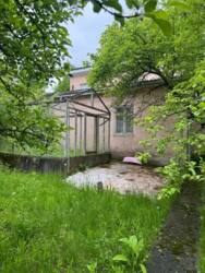 🌳 �������� ����� ������ � ����� ��������� � �. ������� ���� 2