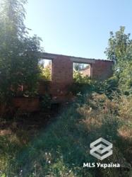 ������ ������� � �. ������ � ��� ��������� ��������� ����� � ������������! 🌳 ���� 7