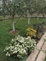 🏰 ��� ������ �� ������� ������ � ������ ����Ҳ! ✨ ���� 17