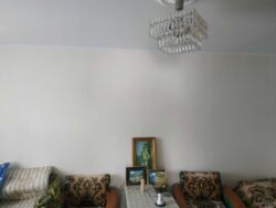 🏡 ����Ҳ� �� �����������! ✨ ���� 12
