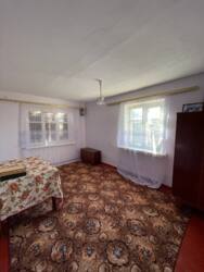 🌿 ������ ������ �� ������ Ĳ����� � ���ʲ����! 🏡✨ ���� 3