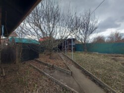 ������ ���� �� ������ �� ������� ��� ���� 49