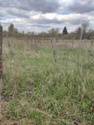 ��������� ������� ʳ�����, 17, ����������, �������������, ����������� ���� 41