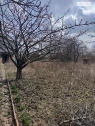 ✨ ��������� ���������� 100 �² � ��������� � �� ����������� �� ����� ��������! ✨ ���� 8