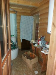 ������ ���� �� ������ �� ������� ��� ���� 41