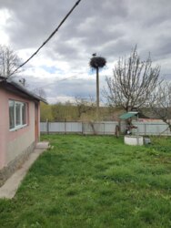 ��������� ������� ʳ�����, 17, ����������, �������������, ����������� ���� 23