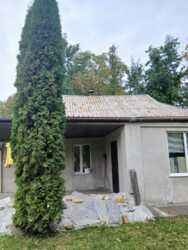 �������� ������� ������� �������������! 🌳 ���� 1