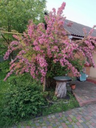 🏰 ��� ������ �� ������� ������ � ������ ����Ҳ! ✨ ���� 22