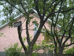 🌳 �������� ����� ������ � ����� ��������� � �. ������� ���� 5