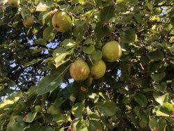 🔥 ������ ���������� ��� ���, ��� �� ��� ������� �������! ���� 10