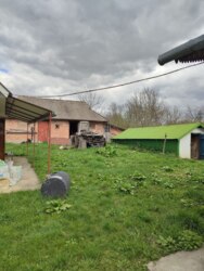 ��������� ������� ʳ�����, 17, ����������, �������������, ����������� ���� 35