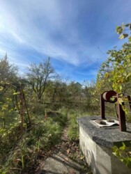 🌳 ������ �� ������� � �������� �����: ���������� �������� ������� ���� 7