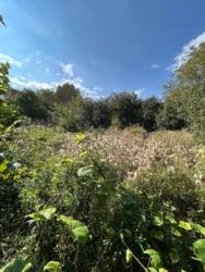 🏡         10   !  9