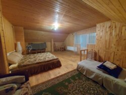 ������ ���� �� ������ �� ������� ��� ���� 29