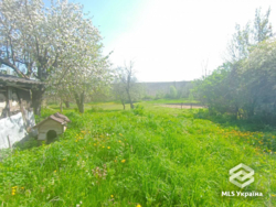 ������� � 20 �� �� ����! 🌲✨ ���� 17