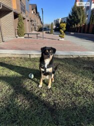 🏡 Ваш простір у місті: Просторий таунхаус 156.7 м² у КМ «Затишне» фото 4 🏡 Ваш простір у місті: Просторий таунхаус 156.7 м² у КМ «Затишне» фото 4