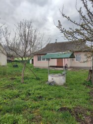 ��������� ������� ʳ�����, 17, ����������, �������������, ����������� ���� 21