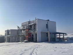 🌿 ����� � ���� �������: ��� ����� �� � ����� ������������ ���� 7