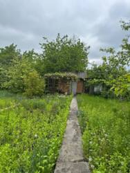 🌳 �������� ����� ������ � ����� ��������� � �. ������� ���� 6