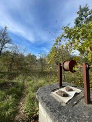 🌳 ������ �� ������� � �������� �����: ���������� �������� ������� ���� 10