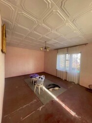 🌳 ������ �� ������� � �������� �����: ���������� �������� ������� ���� 13