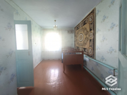 ������� � 20 �� �� ����! 🌲✨ ���� 9