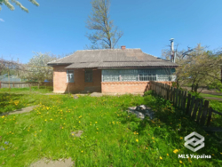 ������� � 20 �� �� ����! 🌲✨ ���� 8