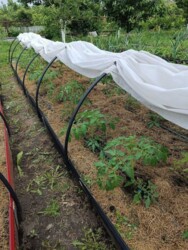 🏰 ��� ������ �� ������� ������ � ������ ����Ҳ! ✨ ���� 18