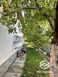 🏡      ϳ- (  )  19