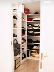 🌲 ����� � ������ ���: ���������� ������ 170 �² � ���������� �������� ���� 4